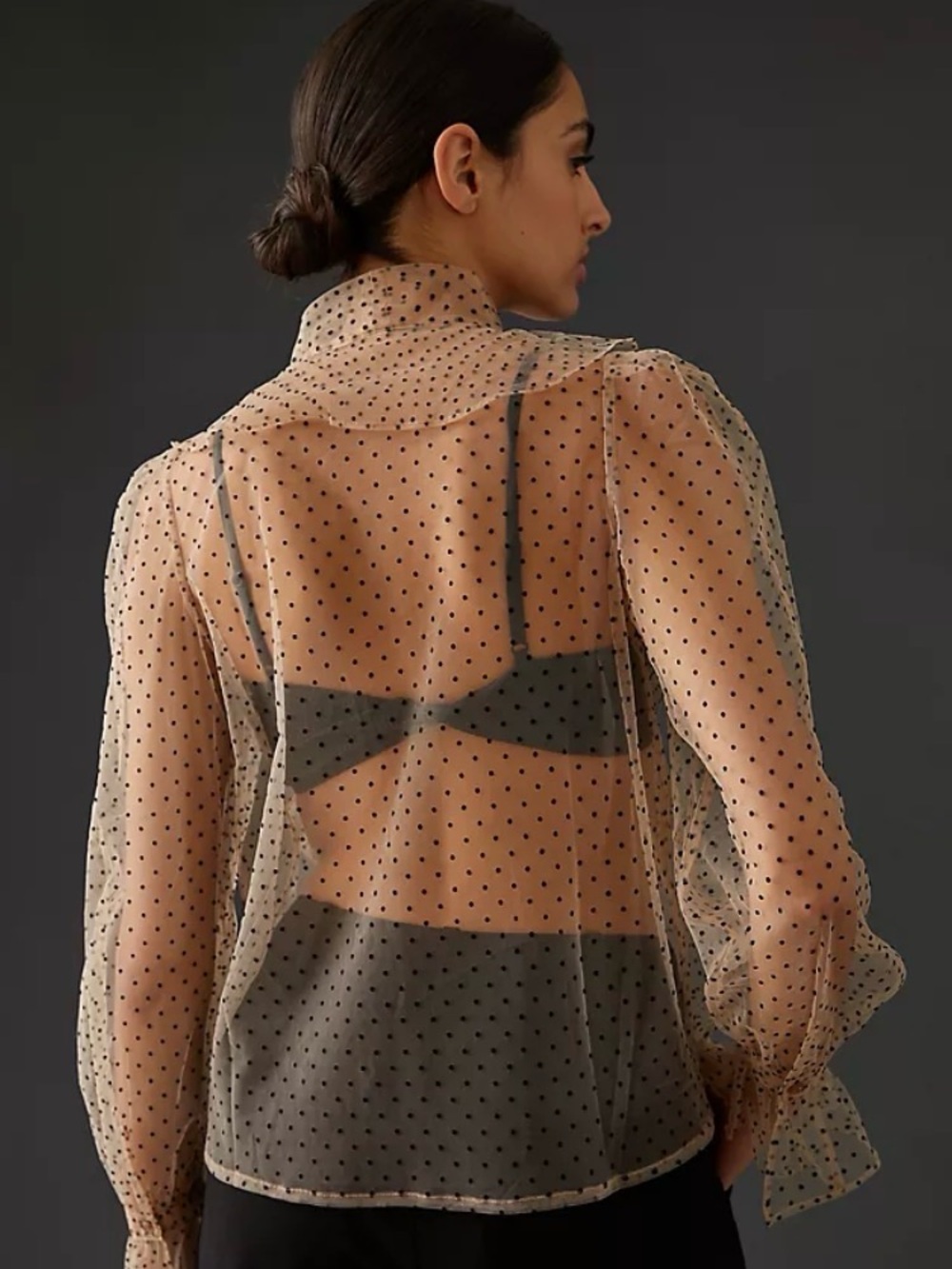 Organza Polka Dot Blouse  NWOT